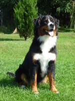 /album/fotogalerie/annie-sedi-jpg/